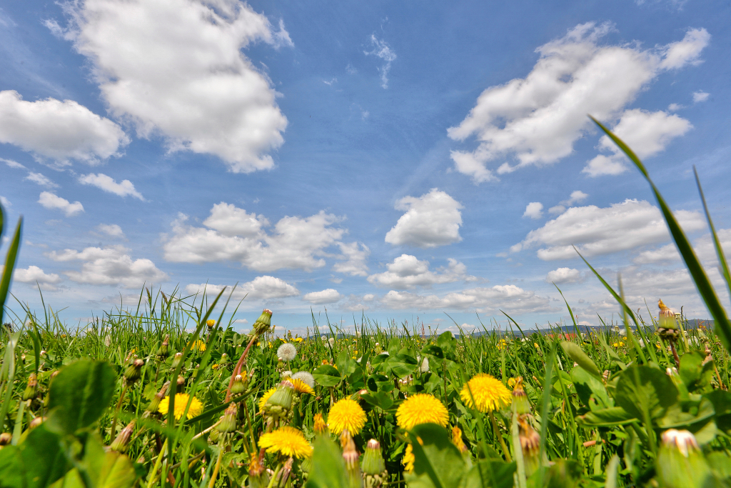 Herzlich willkommen Bayreuther Gehwegreinigung Heinz Witschel GmbH